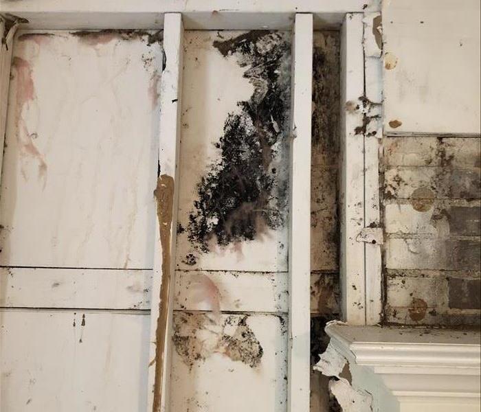 mold on wall near fireplace